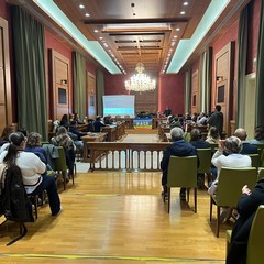 Verso il nuovo Piano Sociale di Zona 2026-2028