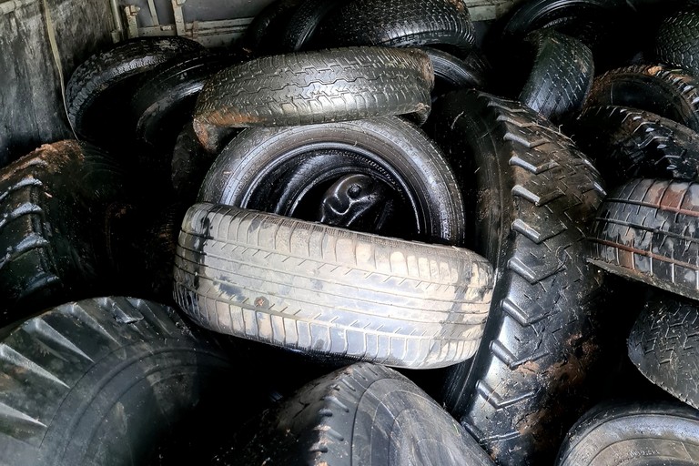 Raccolta di pneumatici abbandonati nel Parco dell'Alta Murgia