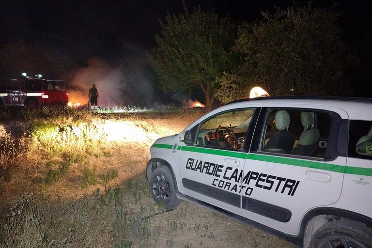guardie campestri incendio