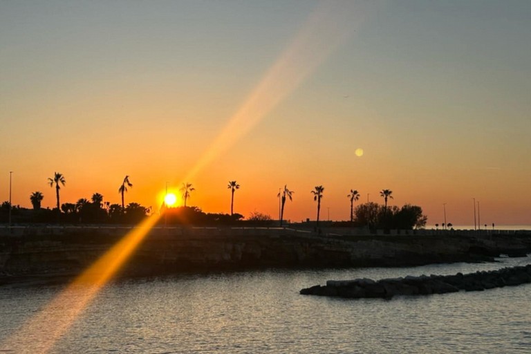 Levante Arena Giovinazzo