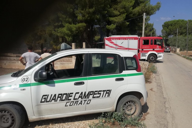 L’intervento di vigili del fuoco e guardie campestri