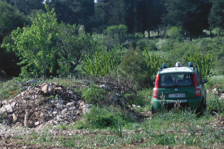 Carabinieri forestali