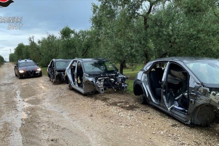 Auto Cannibalizzate ad Andria