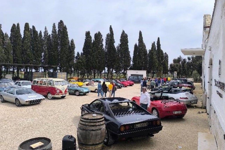 Auto VILLA SCHINOSA Degustazione Vini Olii