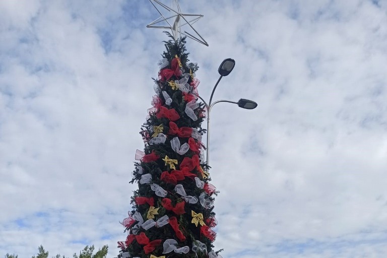 Albero di Natale - Ospedale