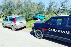 Auto rubata a Corato ritrovata in un fondo agricolo di Ruvo