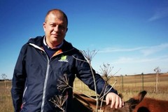 Parco dell’Alta Murgia, Tarantini: «In questi sei anni abbiamo lavorato con passione»