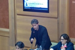 Agricoltura, approvata la mozione del Partito Democratico a sostegno delle filiere locali