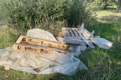 Macabra scoperta nelle campagne: tre asinelli morti abbandonati tra i rifiuti