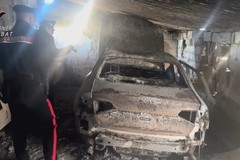 Scoperto cimitero di auto rubate nel cuore del parco dell'Alta Murgia