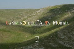 A Pasqua partirà la quarta edizione del Cammino dell'Alta Murgia in Puglia