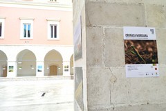 “Cronaca Murgiana”, la mostra da oggi nel Chiostro del Palazzo di Città di Corato
