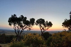 Alba di pace a Castel del Monte: un rito magico per il solstizio d'estate