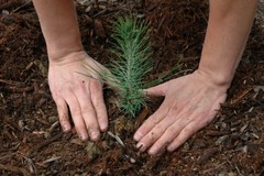 Nasce il Giardino Sensoriale a Torre Palomba