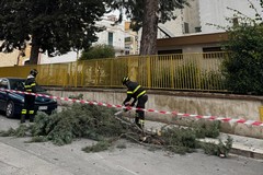 Corato, vento forte all’alba: intervento in via Manerba vicino alla scuola Fornell
