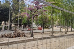 L'amministrazione: «Ripresi i lavori in piazza Vittorio Emanuele II»
