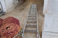 Guano al cimitero di Corato: il consigliere D’Imperio risponde alla segnalazione di un cittadino