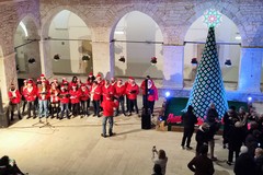 Inaugurato l'albero all'uncinetto all'interno del chiostro di Palazzo di Città