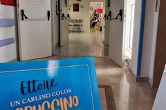 Ettore, un carlino color cappuccino" della coratina Eleonora Loiodice al centro Ermes