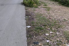 Nessun marciapiede nei pressi della stazione di Corato Sud: gli studenti del "Federico II" chiedono interventi