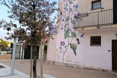 Murale in Viale Po: tra siccità e verde urbano