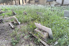 Cimitero di Corato: dove l’erba del vicino è davvero più alta