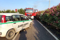 Incendio di sterpaglie sulla SP30: intervento tempestivo grazie alle Guardie Campestri