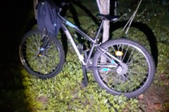 Furto di olive sventato in contrada San Luca