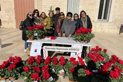 Un ciclamino per la solidarietà Adisco in piazza