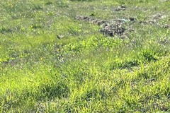 Incidente sulla Corato-Trani: centauro fuori strada all’ingresso di Corato