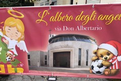 L’albero dell’angelo: un Natale che accende la memoria