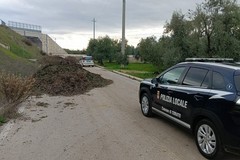 Scarti di foglie abbandonati quasi a bloccare la strada