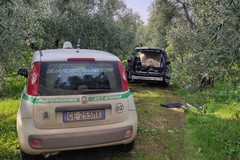 Ritrovate due auto rubate e cannibalizzate in contrada Missori–San Pietro