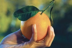 "Le Arance della salute" tornano in Piazza Cesare Battisti: un gesto per sostenere la ricerca oncologica