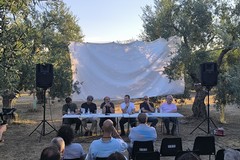 Nel silenzio degli ulivi, la voce dell’EVO
