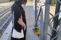 Girasole di memoria: il gesto silenzioso che riporta Corato al 12 luglio