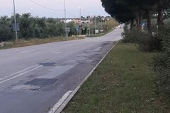 Forza Italia denuncia il degrado della SP2 verso Corato: «Interventi a metà e manutenzioni inefficaci»