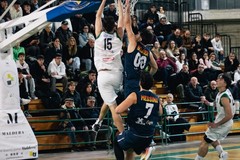 La Fas Basket Corato riceve i Lions Bisceglie al Palalosito