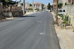 Via Belvedere, tre gatti investiti in una settimana
