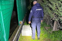 Tentano il furto delle batterie di un ripetitore, ladri in fuga a mani vuote