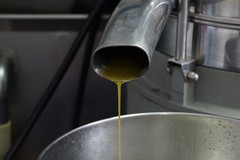 Impianto biometano dalla sansa a Terlizzi, Oliveti Terre di Bari «Pronti a investire»