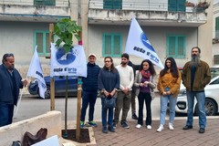 Giornata Mondiale del Malato Oncologico, Onda d'Urto dona un albero alla città