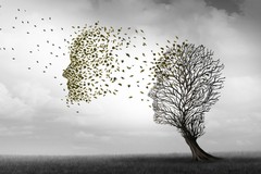 Malattia di Alzheimer, domani un convegno alla Regeneretion Home