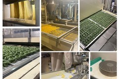 Filiera "Dedicato", Granoro festeggia con la Festa del Grano