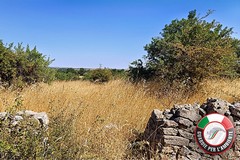 "Necropoli di San Magno", le Guardie per l’Ambiente sollecitano intervento delle autorità competenti