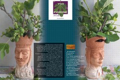Custodi di Terra e Memoria