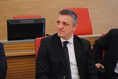 Olio, Ventola scrive al Commissario europeo Hansen: «La Coratina va tutelata in modo definitivo»