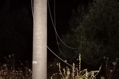 Tentato furto di cavi elettrici sventato nella notte