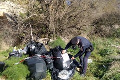 Sedici sacconi di rifiuti scaricati sulla Mediana delle Murge: erano di un agriturismo