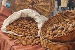 Corato celebra la mandorla tra arte, dolci e profumi